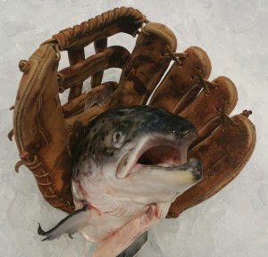 Fish Baseball