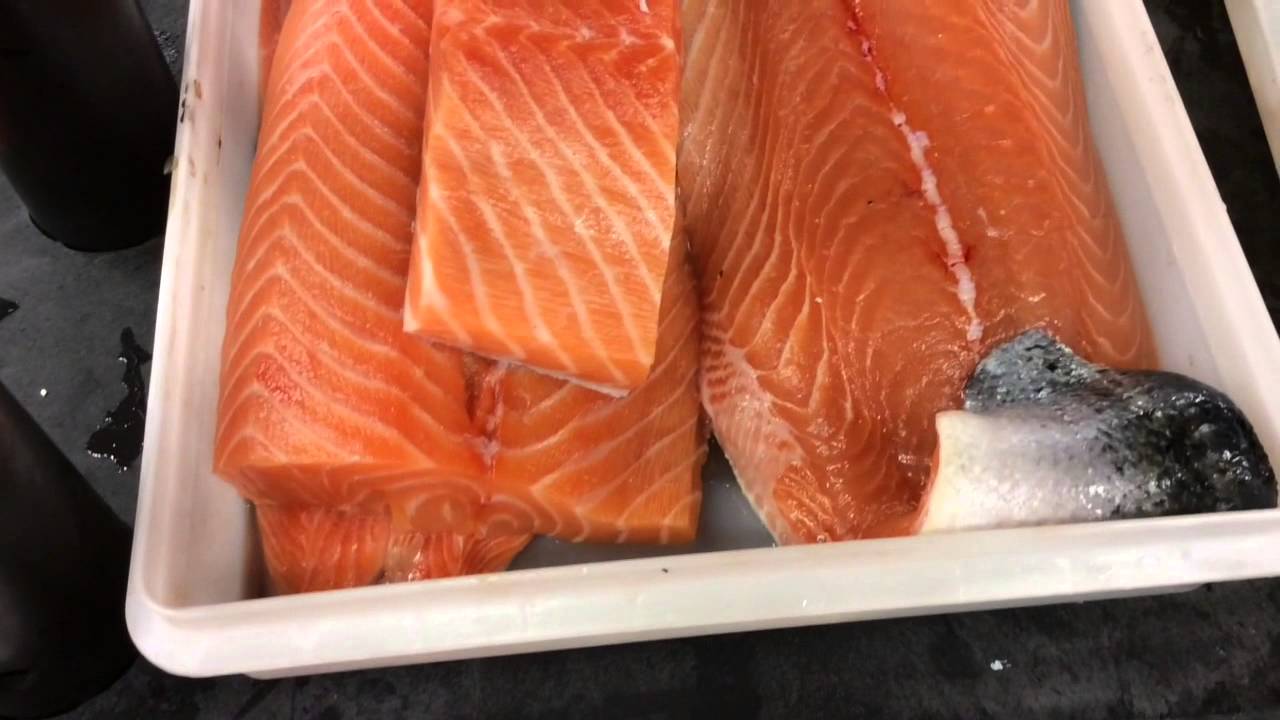 Samuels and Son Seafood Market Update: GMO Salmon