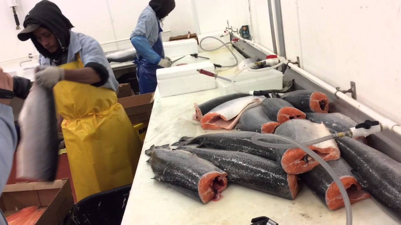 Samuels Seafood Video Market Update