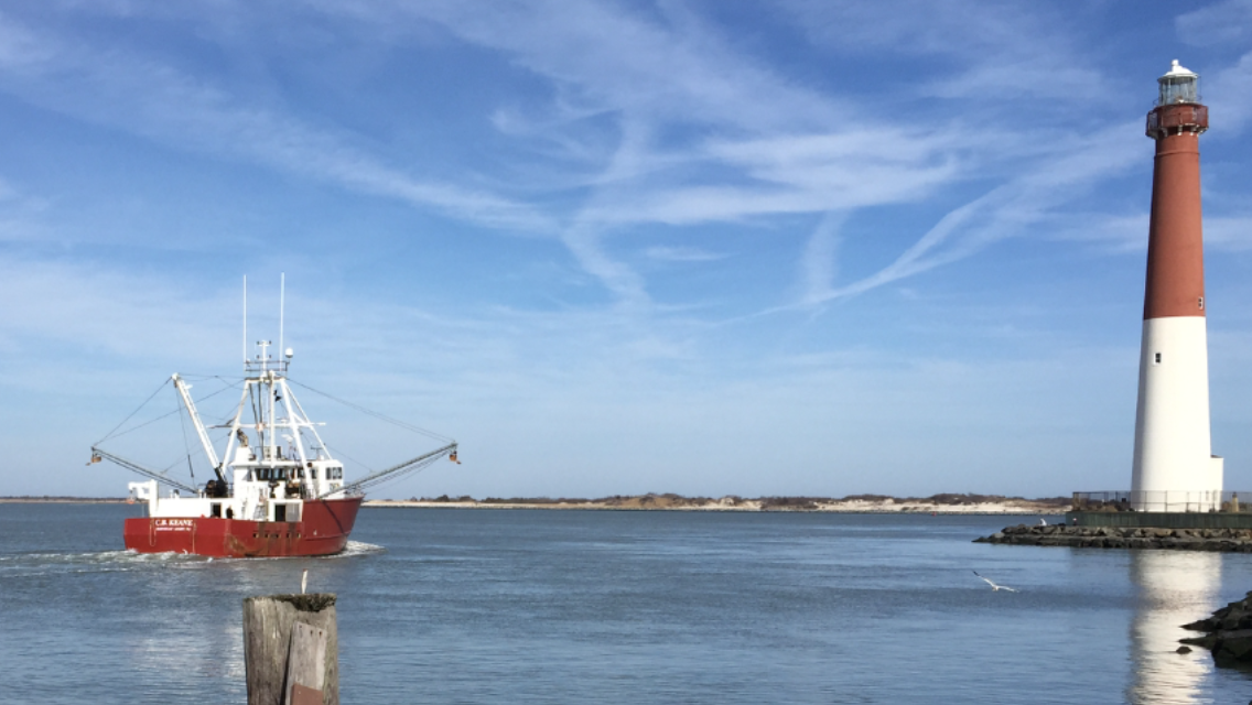 Scallop Season at Viking Village