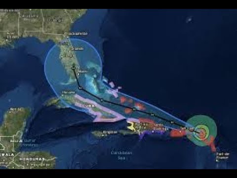 Hurricane Irma’s Impact on Seafood