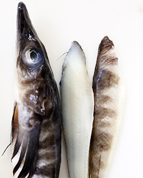 Icefish  Samuels Seafood