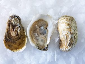 A Dozen Oysters We’re In Love With