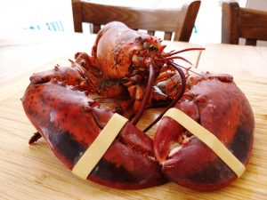 From Trash to Treasure. The Great American Lobster History.