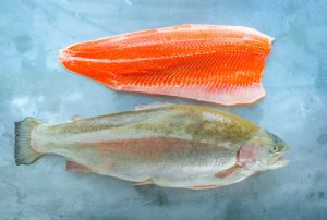 Skye Steelhead Gets the Gold for Natural and Sustainable Aquaculture