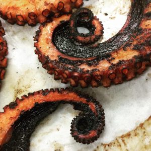 Featured Monthly Special: Fremantle Octopus