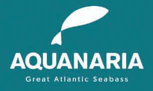 Aquanaria Sea Bass