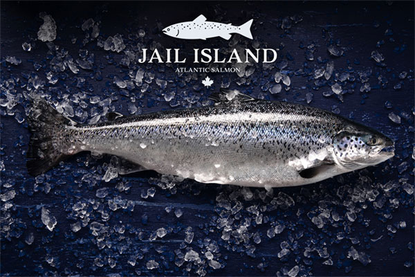 Jail Island Salmon