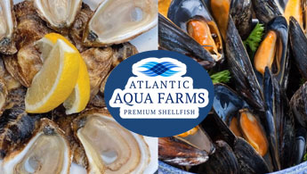 Atlantic Aqua Farms