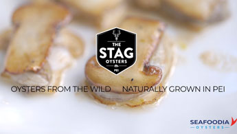 Seafoodia Oysters