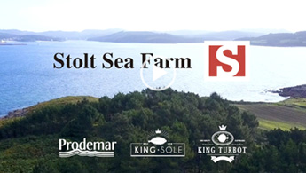 Prodemar Turbot and Sole