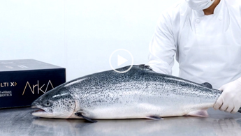 Arka Ultra Premium Salmon