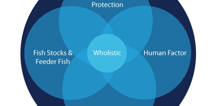A Makeover for US Fishery Management With an Updated Holistic Healing Approach
