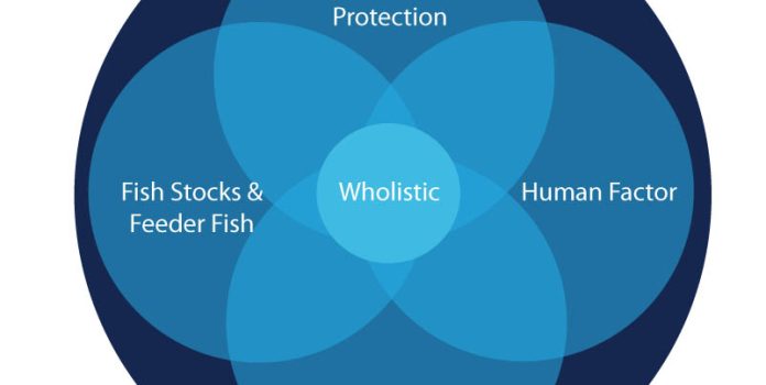 A Makeover for US Fishery Management With an Updated Holistic Healing Approach