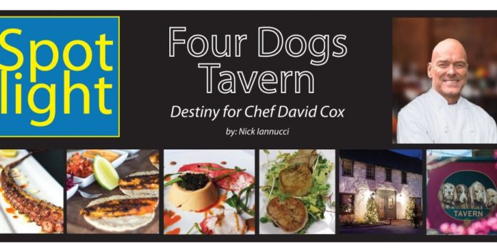 Four Dogs  Tavern, Destiny for Chef David Cox