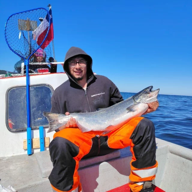 2 pièces truite saumon Steelhead brochet pêche à la mouche 2 pièces truite saumon Steelhead brochet pêche à la mouche